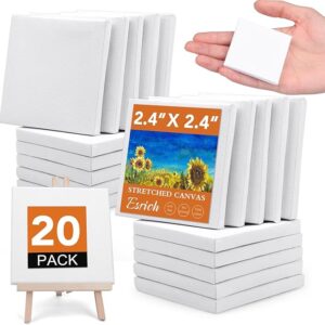 20-Pack Mini Stretched Canvases – 2.4x2.4" Primed Cotton Canvas for Kids & Crafts