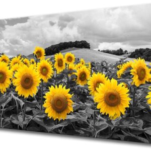 Large Sunflower Wall Art Canvas Black White Floral Modern Decor